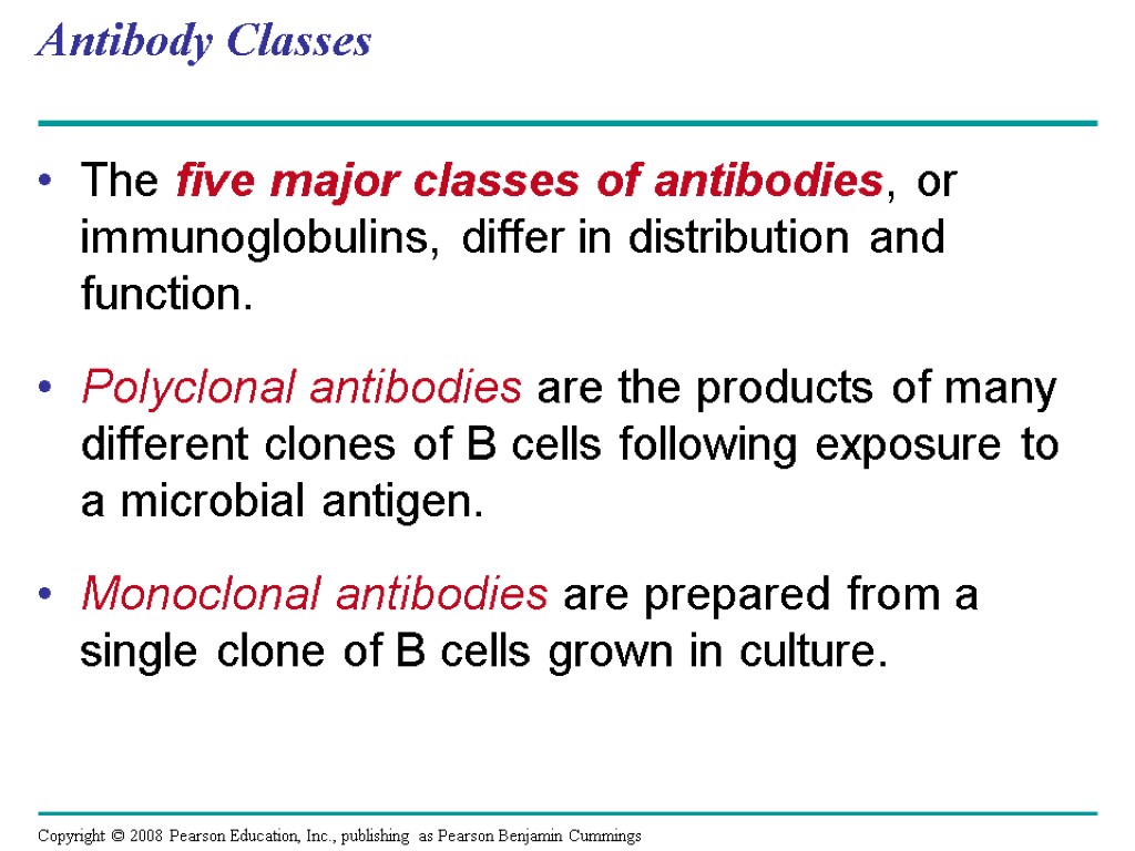 Antibody Classes The five major classes of antibodies, or immunoglobulins, differ in distribution and